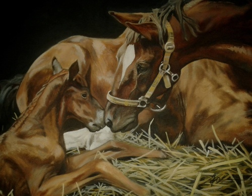 jorge castrillon