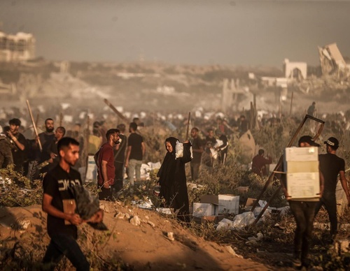 ali jadallah gaza