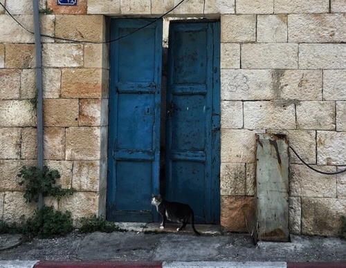 Galería de fotografía de puerta en Palestina