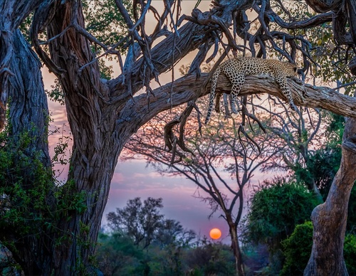 Gallery Of Photography By Michael Yamashita - USA