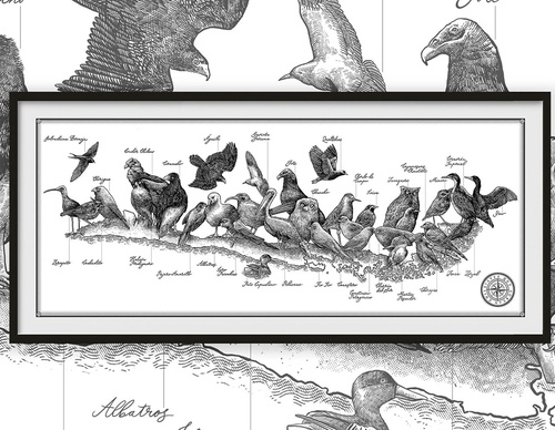 Galería De Ilustración De Alvaro Arteaga-Chile