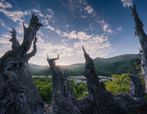 Gallery Of Photography By Rodrigo Viveros - Chile