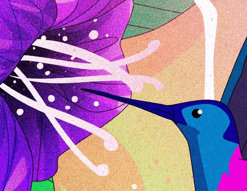 Gallery Of Illustration By Denis Freitas - Brazil