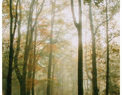 Gallery Of Photography By Daniel Casson - United Kingdom