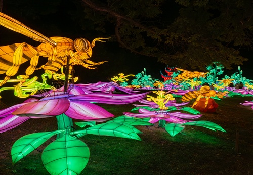 The Magic of Light and Color