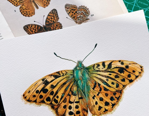 Gallery Of Painting By Rita Gould - United Kingdom