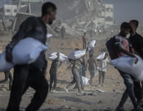 ali jadallah gaza