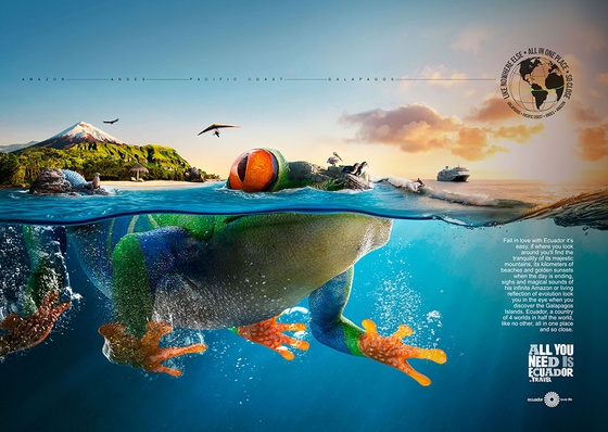 Galeria de obras de design gráfico, publicidade e fotografia de David Chandi (Grupo Dadá) – Equador