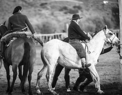 Galería de fotografía de Patricio Rodríguez - Argentina