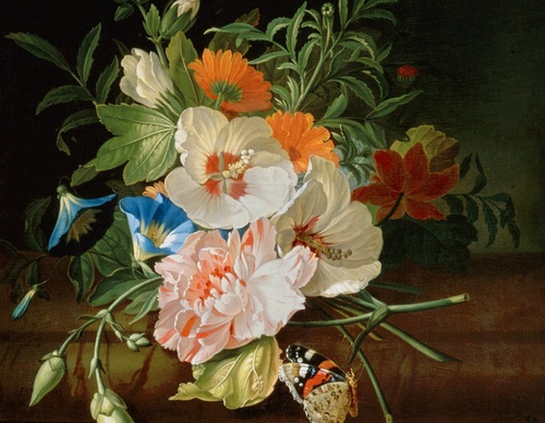 Galería de pintura de Rachel Ruysch, Países Bajos