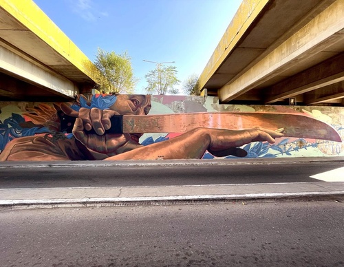 Gallery Of Street Art By Kiki - Brazil
