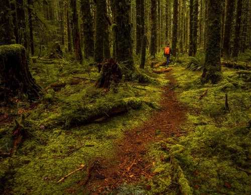Galería de fotografías de Adam Weist - Nederland