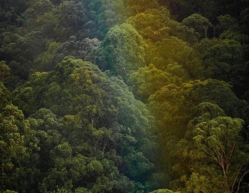 Gallery Of Photography By Fernando Faciole - Brazil