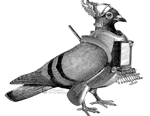 celsius pictor