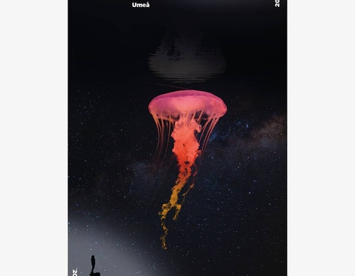Gallery Of Graphic Design By Joakim - Sweden