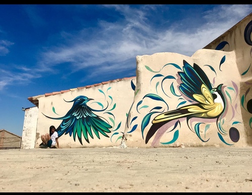 Gallery Of Street Art By Fio Silva - Argentina