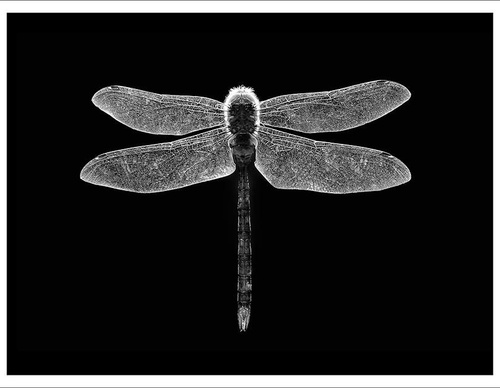 Gallery Of Photography By Diego Ortiz Mugica - Argentina