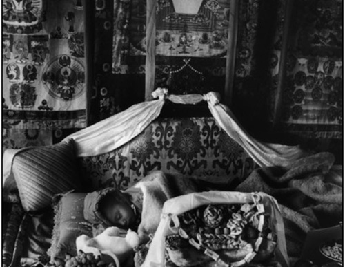 martine franck