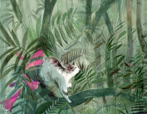 elizabeth builes