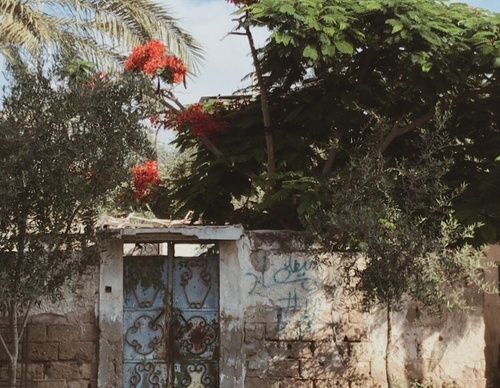 Galería de fotografía de puerta en Palestina