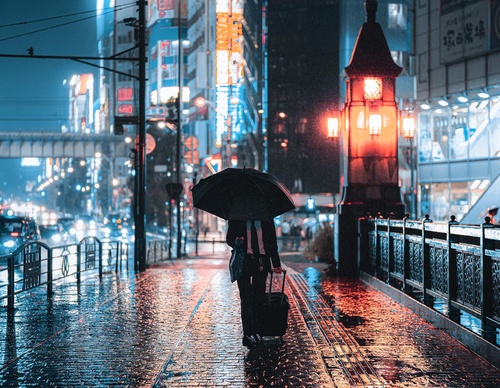 Gallery Of Photography By Junya Watanabe - Japan