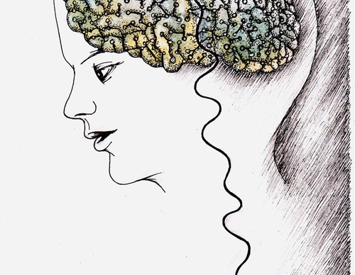 terror online cartoons