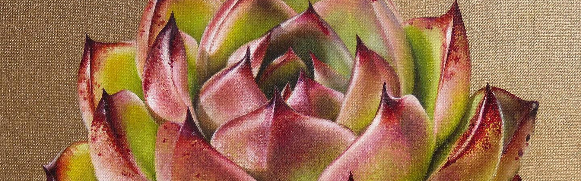 Gallery Of Visual Art By Carlo Batistella - Brazil