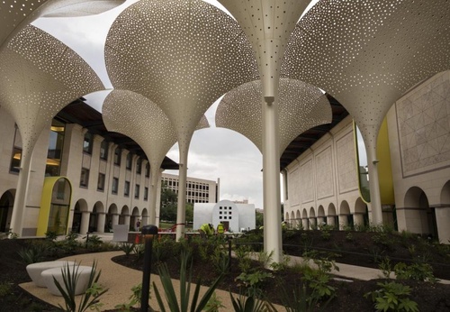 La nueva exposición “Paper Trails” del Blanton explora los impresos