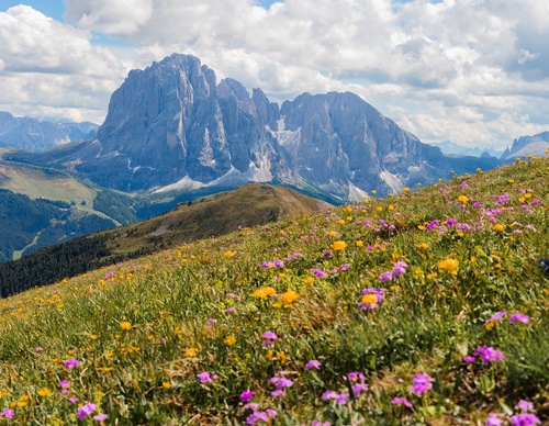 Gallery Of Photography By Jacob Rossi - USA