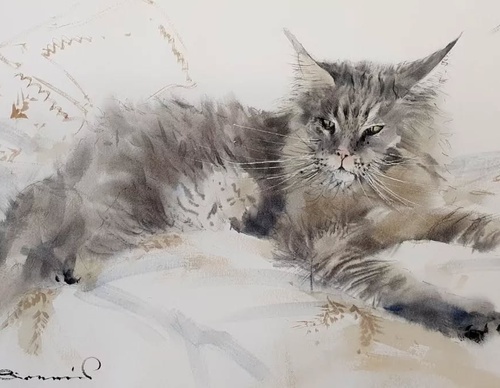 antonio giacomin