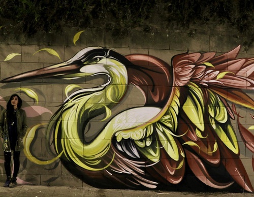 Gallery Of Street Art By Fio Silva - Argentina