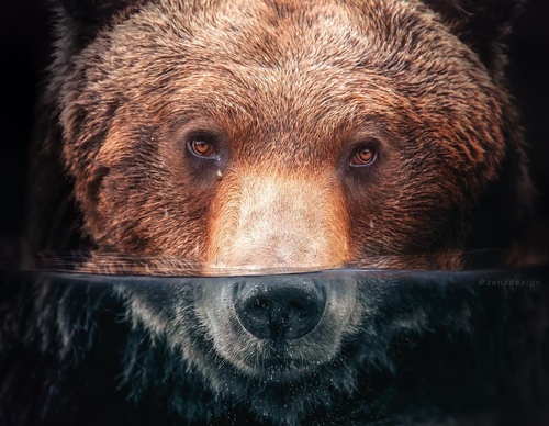 Galería de fotografías de Evgeny Gammer - Rusia