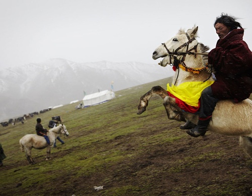 jonas bendiksen