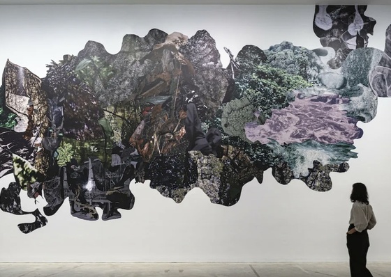 The Role of Conceptual Art in Brazil, Colombia, and Mexico