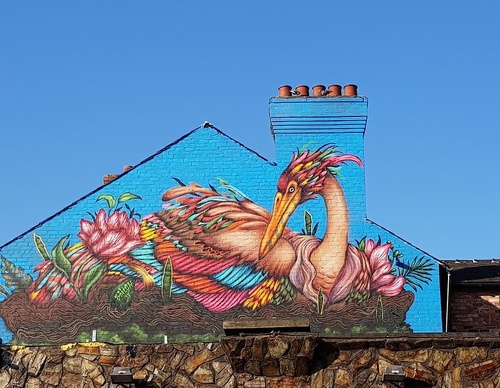 Gallery Of Street Art By Bailon - Brazil