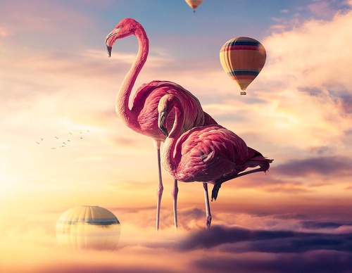 Galeria de ilustrações de João Cunico - Brasil