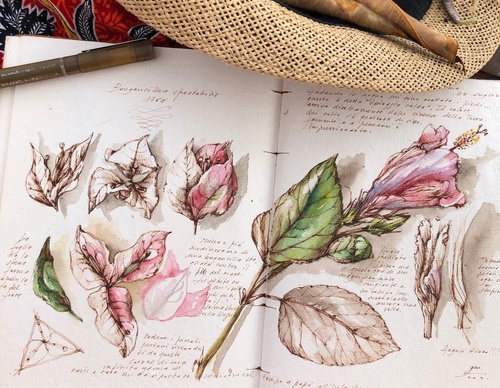 Gallery of Drawing by GiacoMina Ferrillo-Italy