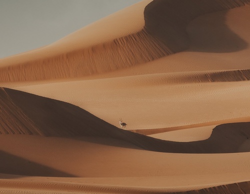 Galería de fotografías de Rob Ash - Inglaterra