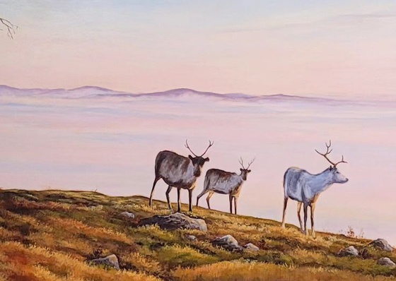 Gallery Of Painting By Tomi Anttila - Finland