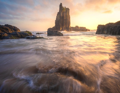Galeria de fotografias de William Patino - Nova Zelândia
