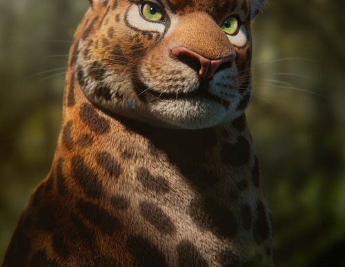 Gallery Of Illustration By Alexandre MOUGENOT - France