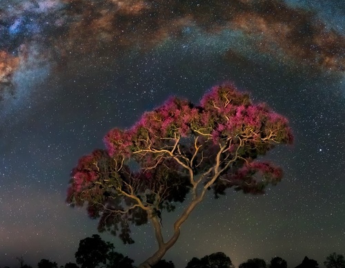Galería de fotografía de Marcio Cabral - Brasil