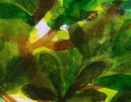 elizabeth builes