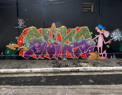 Gallery Of Street Art By Rafael Sliks - Brazil