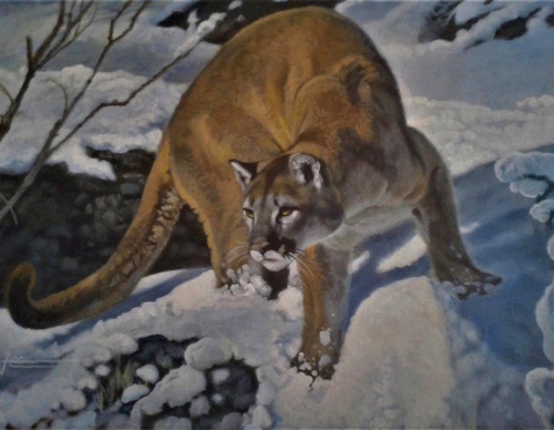 jorge castrillon