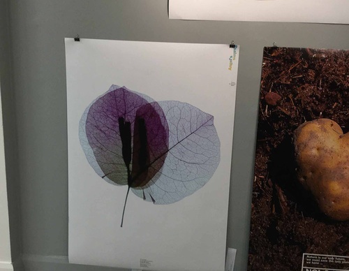 swiss posters