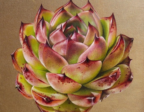 Gallery Of Visual Art By Carlo Batistella - Brazil