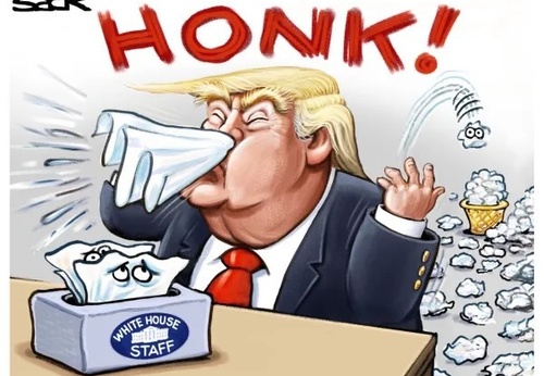 Gallery Of Humor Drawing By Steve Sack - USA