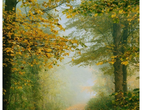 Gallery Of Photography By Daniel Casson - United Kingdom