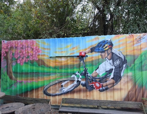 Gallery Of Street Art By Diego Forms - Brazil